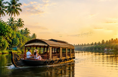 Amazing Alleppey