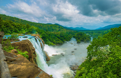 Southern Wildness