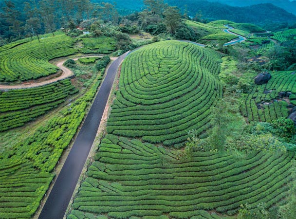 Munnar