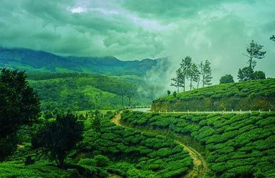 Green Circle Kerala