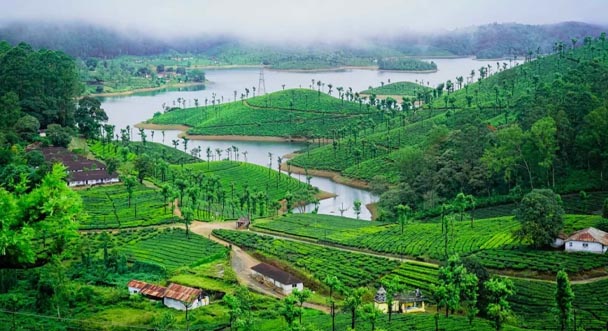 Valparai